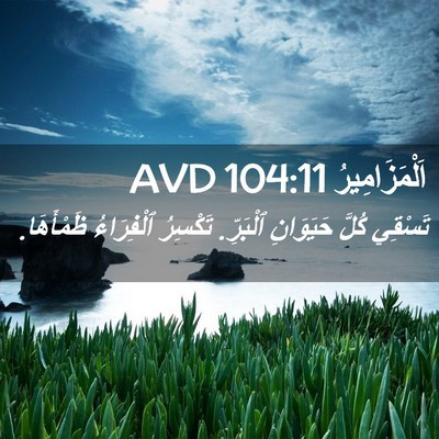 Picture 02 - اَلْمَزَامِيرُ 104:11 AVD - تَسْقِي كُلَّ حَيَوَانِ - Bible Verse Picture