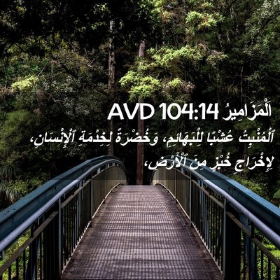 Picture 02 - اَلْمَزَامِيرُ 104:14 AVD - ٱلْمُنْبِتُ عُشْبًا - Bible Verse Picture