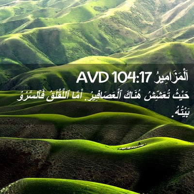 Picture 02 - اَلْمَزَامِيرُ 104:17 AVD - حَيْثُ تُعَشِّشُ هُنَاكَ - Bible Verse Picture