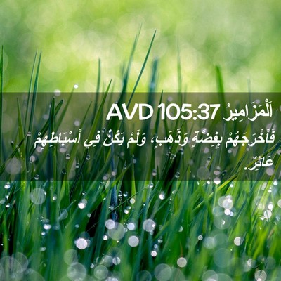 Picture 02 - اَلْمَزَامِيرُ 105:37 AVD - فَأَخْرَجَهُمْ بِفِضَّةٍ - Bible Verse Picture