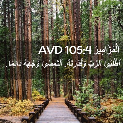 Picture 02 - اَلْمَزَامِيرُ 105:4 AVD - اُطْلُبُوا ٱلرَّبَّ - Bible Verse Picture