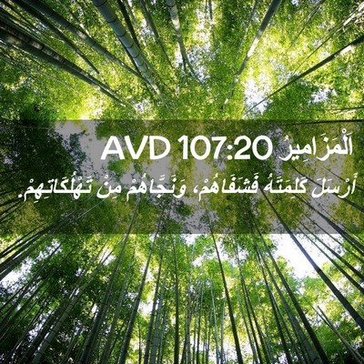 Picture 02 - اَلْمَزَامِيرُ 107:20 AVD - أَرْسَلَ كَلِمَتَهُ - Bible Verse Picture