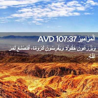 Picture 02 - اَلْمَزَامِيرُ 107:37 AVD - وَيَزْرَعُونَ حُقُولًا - Bible Verse Picture