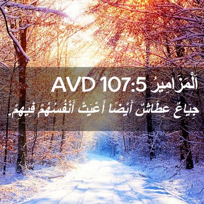 Picture 02 - اَلْمَزَامِيرُ 107:5 AVD - جِيَاعٌ عِطَاشٌ أَيْضًا - Bible Verse Picture