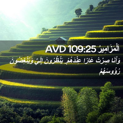 Picture 02 - اَلْمَزَامِيرُ 109:25 AVD - وَأَنَا صِرْتُ عَارًا - Bible Verse Picture