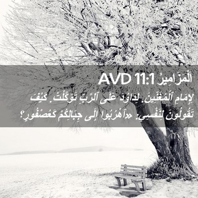 Picture 02 - اَلْمَزَامِيرُ 11:1 AVD - لِإِمَامِ ٱلْمُغَنِّينَ. - Bible Verse Picture