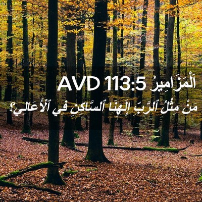 Picture 02 - اَلْمَزَامِيرُ 113:5 AVD - مَنْ مِثْلُ ٱلرَّبِّ - Bible Verse Picture