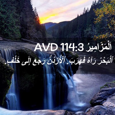 Picture 02 - اَلْمَزَامِيرُ 114:3 AVD - ٱلْبَحْرُ رَآهُ فَهَرَبَ. - Bible Verse Picture