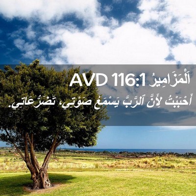 Picture 02 - اَلْمَزَامِيرُ 116:1 AVD - أَحْبَبْتُ لِأَنَّ - Bible Verse Picture
