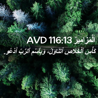 Picture 02 - اَلْمَزَامِيرُ 116:13 AVD - كَأْسَ ٱلْخَلَاصِ - Bible Verse Picture