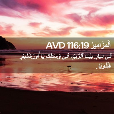 Picture 02 - اَلْمَزَامِيرُ 116:19 AVD - فِي دِيَارِ بَيْتِ - Bible Verse Picture