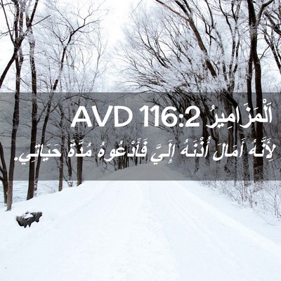 Picture 02 - اَلْمَزَامِيرُ 116:2 AVD - لِأَنَّهُ أَمَالَ - Bible Verse Picture