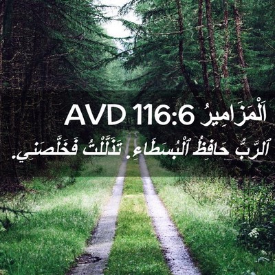 Picture 02 - اَلْمَزَامِيرُ 116:6 AVD - ٱلرَّبُّ حَافِظُ - Bible Verse Picture