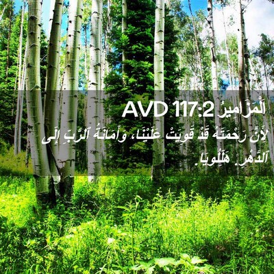 Picture 02 - اَلْمَزَامِيرُ 117:2 AVD - لِأَنَّ رَحْمَتَهُ قَدْ - Bible Verse Picture