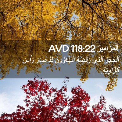 Picture 02 - اَلْمَزَامِيرُ 118:22 AVD - ٱلْحَجَرُ ٱلَّذِي - Bible Verse Picture