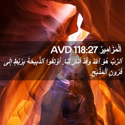 Picture 02 - اَلْمَزَامِيرُ 118:27 AVD - ٱلرَّبُّ هُوَ ٱللهُ وَقَدْ - Bible Verse Picture