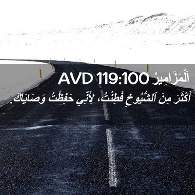 Picture 02 - اَلْمَزَامِيرُ 119:100 AVD - أَكْثَرَ مِنَ ٱلشُّيُوخِ - Bible Verse Picture