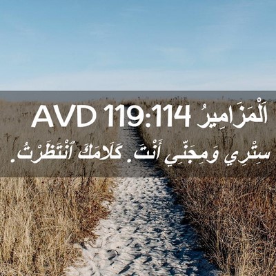 Picture 02 - اَلْمَزَامِيرُ 119:114 AVD - سِتْرِي وَمِجَنِّي أَنْتَ. - Bible Verse Picture