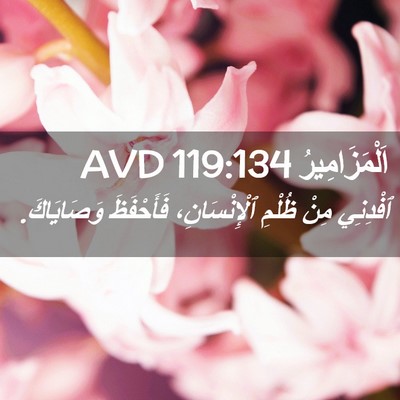 Picture 02 - اَلْمَزَامِيرُ 119:134 AVD - ٱفْدِنِي مِنْ ظُلْمِ - Bible Verse Picture