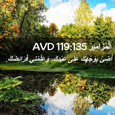 Picture 02 - اَلْمَزَامِيرُ 119:135 AVD - أَضِئْ بِوَجْهِكَ عَلَى - Bible Verse Picture
