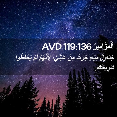 Picture 02 - اَلْمَزَامِيرُ 119:136 AVD - جَدَاوِلُ مِيَاهٍ جَرَتْ - Bible Verse Picture