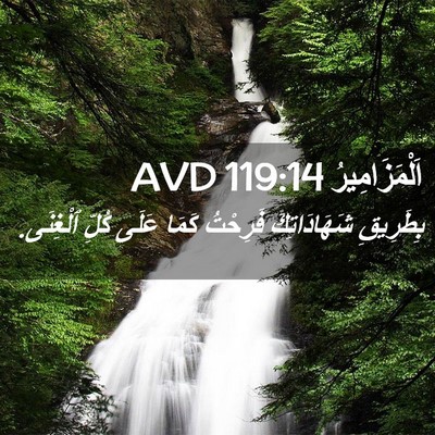 Picture 02 - اَلْمَزَامِيرُ 119:14 AVD - بِطَرِيقِ شَهَادَاتِكَ - Bible Verse Picture