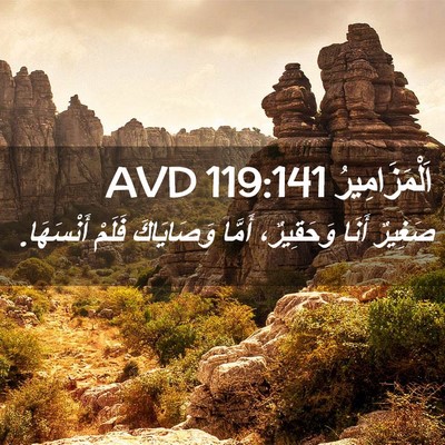 Picture 02 - اَلْمَزَامِيرُ 119:141 AVD - صَغِيرٌ أَنَا وَحَقِيرٌ، - Bible Verse Picture