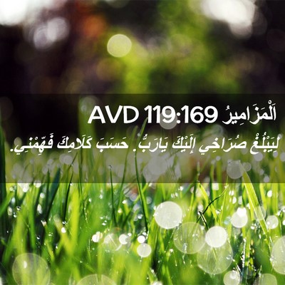 Picture 02 - اَلْمَزَامِيرُ 119:169 AVD - لِيَبْلُغْ صُرَاخِي - Bible Verse Picture
