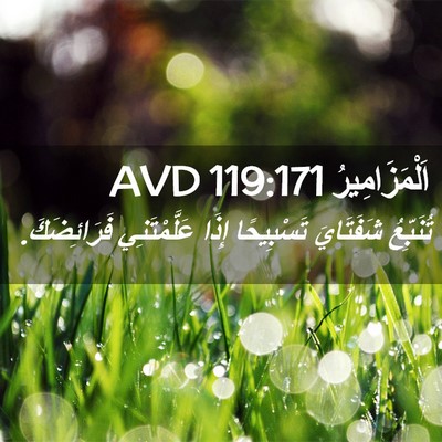 Picture 02 - اَلْمَزَامِيرُ 119:171 AVD - تُنَبِّعُ شَفَتَايَ - Bible Verse Picture