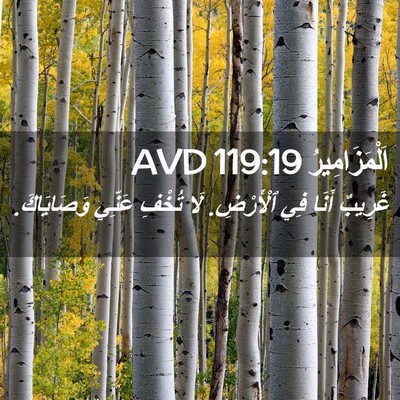 Picture 02 - اَلْمَزَامِيرُ 119:19 AVD - غَرِيبٌ أَنَا فِي - Bible Verse Picture