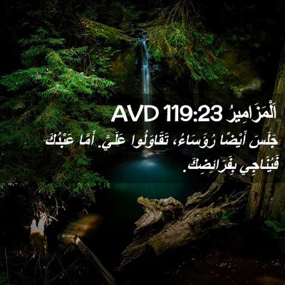 Picture 02 - اَلْمَزَامِيرُ 119:23 AVD - جَلَسَ أَيْضًا رُؤَسَاءُ، - Bible Verse Picture