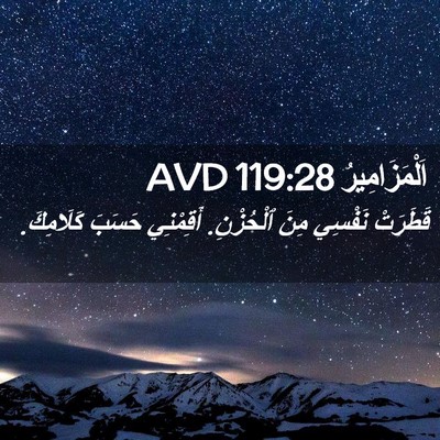 Picture 02 - اَلْمَزَامِيرُ 119:28 AVD - قَطَرَتْ نَفْسِي مِنَ - Bible Verse Picture