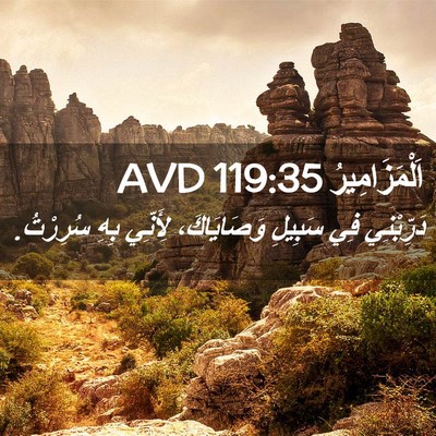 Picture 02 - اَلْمَزَامِيرُ 119:35 AVD - دَرِّبْنِي فِي سَبِيلِ - Bible Verse Picture