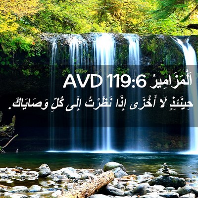 Picture 02 - اَلْمَزَامِيرُ 119:6 AVD - حِينَئِذٍ لَا أَخْزَى - Bible Verse Picture