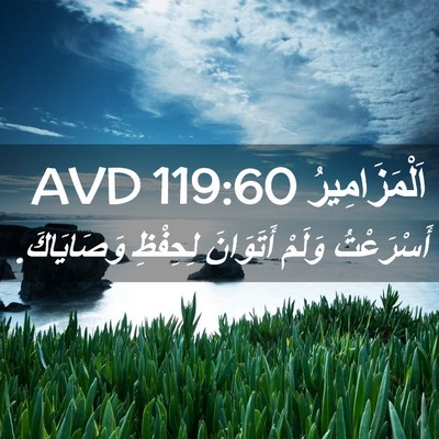 Picture 02 - اَلْمَزَامِيرُ 119:60 AVD - أَسْرَعْتُ وَلَمْ - Bible Verse Picture