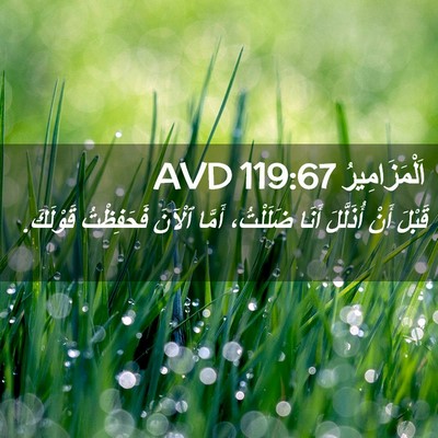Picture 02 - اَلْمَزَامِيرُ 119:67 AVD - قَبْلَ أَنْ أُذَلَّلَ - Bible Verse Picture