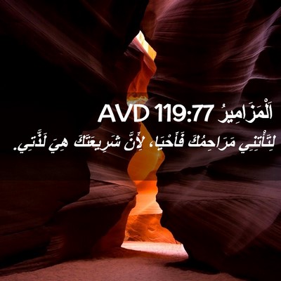 Picture 02 - اَلْمَزَامِيرُ 119:77 AVD - لِتَأْتِنِي مَرَاحِمُكَ - Bible Verse Picture