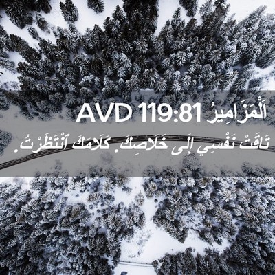 Picture 02 - اَلْمَزَامِيرُ 119:81 AVD - تَاقَتْ نَفْسِي إِلَى - Bible Verse Picture