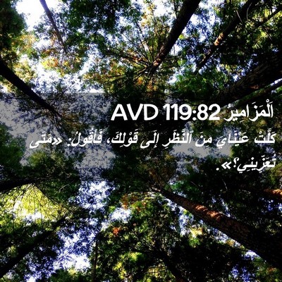 Picture 02 - اَلْمَزَامِيرُ 119:82 AVD - كَلَّتْ عَيْنَايَ مِنَ - Bible Verse Picture