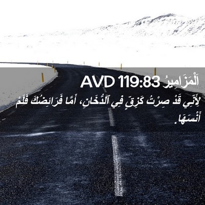 Picture 02 - اَلْمَزَامِيرُ 119:83 AVD - لِأَنِّي قَدْ صِرْتُ - Bible Verse Picture