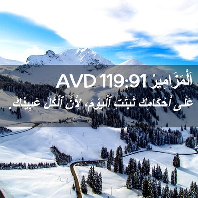 Picture 02 - اَلْمَزَامِيرُ 119:91 AVD - عَلَى أَحْكَامِكَ - Bible Verse Picture