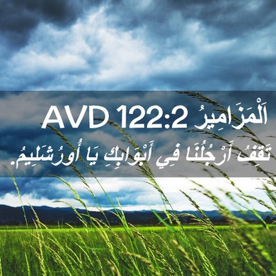 Picture 02 - اَلْمَزَامِيرُ 122:2 AVD - تَقِفُ أَرْجُلُنَا فِي - Bible Verse Picture