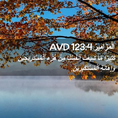 Picture 02 - اَلْمَزَامِيرُ 123:4 AVD - كَثِيرًا مَا شَبِعَتْ - Bible Verse Picture
