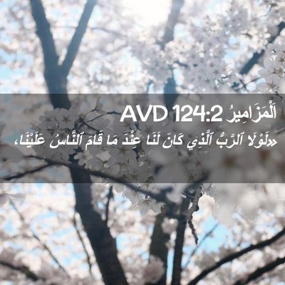 Picture 02 - اَلْمَزَامِيرُ 124:2 AVD - «لَوْلَا ٱلرَّبُّ ٱلَّذِي - Bible Verse Picture