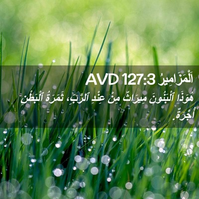 Picture 02 - اَلْمَزَامِيرُ 127:3 AVD - هُوَذَا ٱلْبَنُونَ - Bible Verse Picture