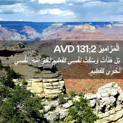 Picture 02 - اَلْمَزَامِيرُ 131:2 AVD - بَلْ هَدَّأْتُ وَسَكَّتُّ - Bible Verse Picture