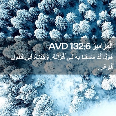 Picture 02 - اَلْمَزَامِيرُ 132:6 AVD - هُوَذَا قَدْ سَمِعْنَا - Bible Verse Picture