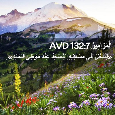 Picture 02 - اَلْمَزَامِيرُ 132:7 AVD - «لِنَدْخُلْ إِلَى - Bible Verse Picture