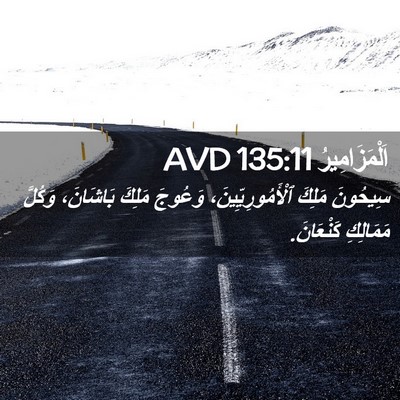 Picture 02 - اَلْمَزَامِيرُ 135:11 AVD - سِيحُونَ مَلِكَ - Bible Verse Picture