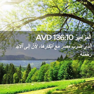 Picture 02 - اَلْمَزَامِيرُ 136:10 AVD - ٱلَّذِي ضَرَبَ مِصْرَ مَعَ - Bible Verse Picture